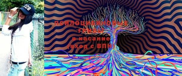 круглые Арсеньев